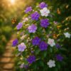 yesterday, today & tomorrow plant (brunfelsia) – unique color changing flowering shrub