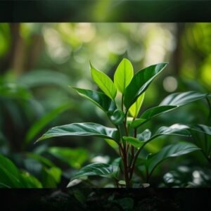 botanical photography of unknown plant visual appearance unknown plant tropical plant with lush gr 4