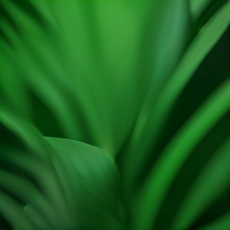 botanical photography of unknown plant visual appearance unknown plant tropical plant with lush gr 18