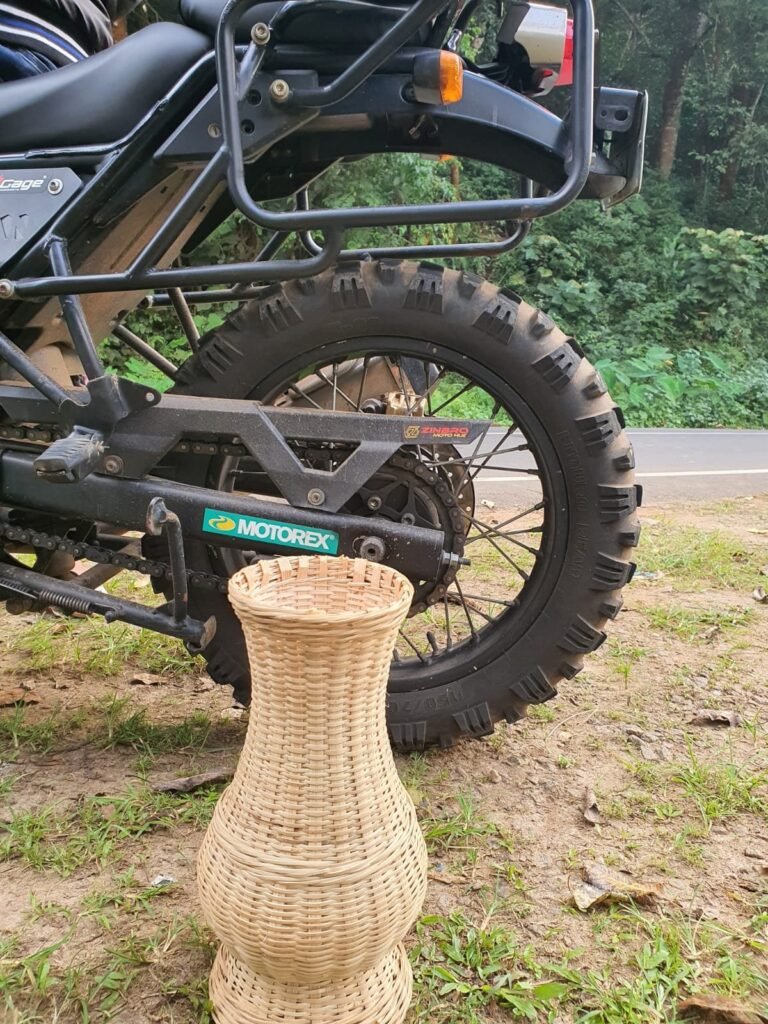 plant 5